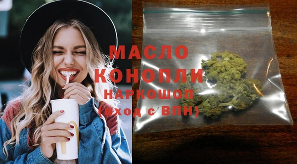 индика Сясьстрой